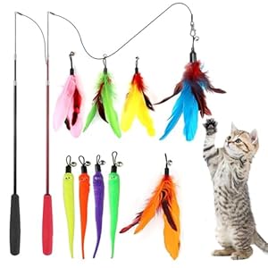 LEXSO Cat Teaser Toy, Feather Toy for cat 11 Pcs Cat Toy Set with 2 Retractable Teaser Wand & 5 Feather Teaser Toy & 4 Worm Teaser, Interactive Cat Toys for Kitten to Play Chase Activity Exercise