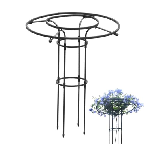 ミニオベリスク トレリス ガーデニング用支柱 バラ用 つる花 アイビー クレマチス 園芸支柱 オベリスク 植物支柱 薔薇 オベリスクアーチ プランター 組み立て簡単 つる性植物 登山トレリス パーゴラ 庭 栽培 植物サポート