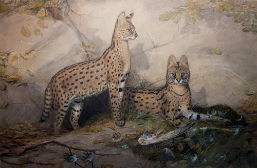 Peinture poster abstraite Serval de Wolf en toile 60x90cm pour décoration murale