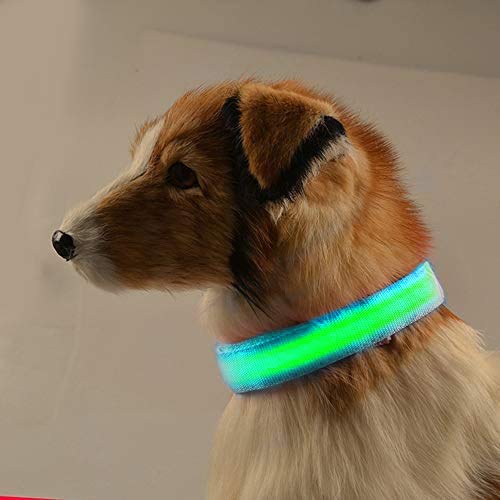 LUCKSTAR CUPET USB Charging Pet Collar - LED Glowing Flashing Nylon Dog Collar - 3 Flashing Modes Luminous Safety Collar for Night Walking (Include USB Cable) (XL, Green)