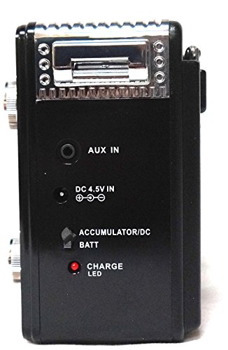 lax max bluetooth torch speaker