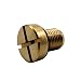 EVER STORE 17111712788 Coolant Bleeder Screw Compatible for BMW E46 E92 E90 E36 E39 & Mini Cooper
