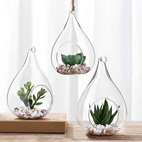 MAGICMOON Tear Drop Shape Glass Hanging Planter, Indoor Gardening Terrarium for Artificial Plants Rust Resistant - Transparent (6.5 Inch Tear Drop Shape Terrarium) (1) (B09P42XRPG) Amazon Price History, Amazon Price Tracker
