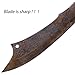 Handmade Cast High-Carbon Steel Blade Sword, Sharp Blade, Full Tang, with Leather Protective Cover Metal Sword All Made of Metal for Collection Outdoor, Hunting Camping Hiking Survival