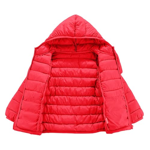Girls Boys Puffer Jackets Winter Warm Windproof Hooded Padded Down Coats Solid Long Sleeve Zip Up Outerwear for Kids3