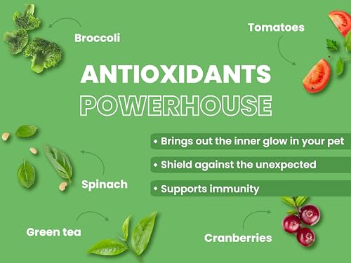 Bark Out Loud Veg Adult Dog Food for Medium & Large Breeds - Naked Oats & Veggies High Protein, Prebiotics, Vitamins & Fibre 100% Vegetarian Dry Dog Food 2 Kg