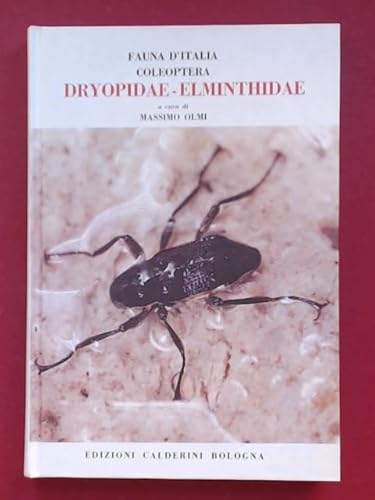 Coleoptera Dryopidae, Elminthidae.