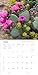 Audubon Desert Wildflowers Wall Calendar 2024: A Visual Delight for Nature Lovers