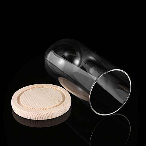 COHEALI Cúpula De Tampa De Transparente Estande Prato De Bolo Cúpula Carrinho Do Bolo De Cloche Mini