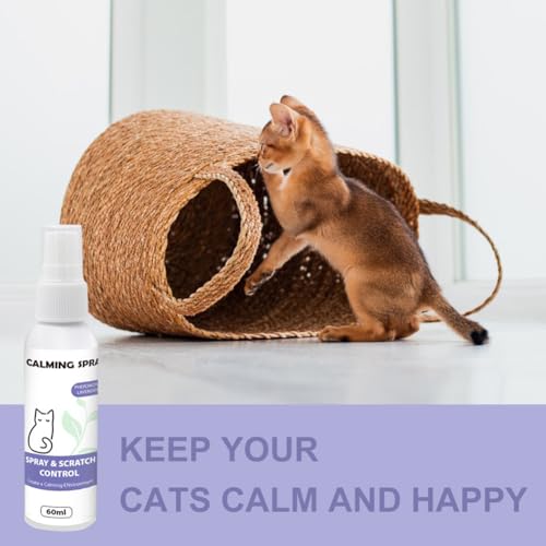 Cerioll Pheromone Katzen, Beruhigungsmittel Für Katzen, 60ml Calming Spray, Pet Calming Spray, Anti Stress, Wirkt Schnell & Effektiv Gegen Stress, Alternative Zu Beruhigungstabletten