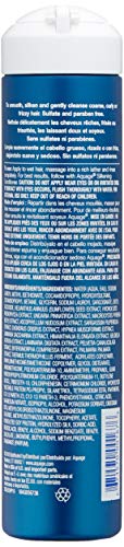 Aquage Sea Extend Silkening Shampoo, 10 Ounce #TOP1