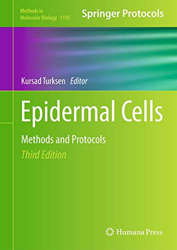 Epidermal Cells view 2