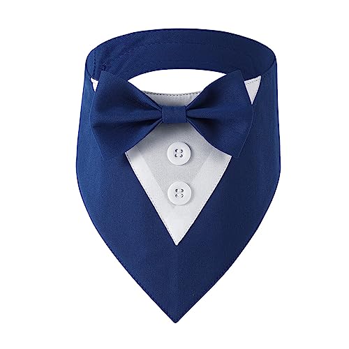 킢߉\Ȍ̒lN^C̎֎qLX[c̎ւƃrbOGKgȃlN^CybgTybgo_i