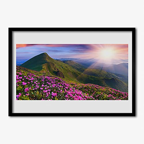 Image murale fleurs de pré avec affiche encadrée 70x50 cadre mdf salon chambre cuisine Tulup
