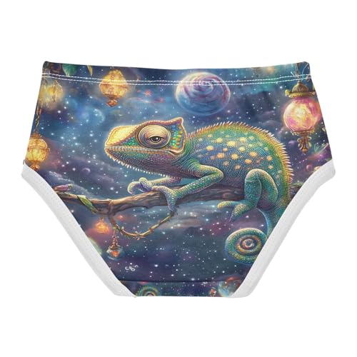 Cute Chameleon Night Starry Toddler Girls's Underwear 2T 202b87512
