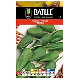 Pimiento PADRON
