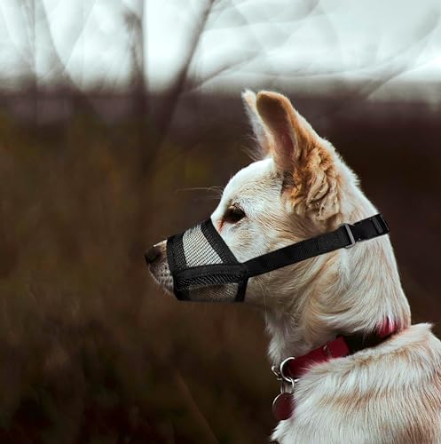 Image of Flintstone Dog Muzzle for Small Dogs - Soft Air Mesh Small Dog Muzzle | Breathable Muzzles to Prevent Biting Chewing Grooming | Drinkable Mussels for Dogs X-S (3.9 inch- 5.1 inch)