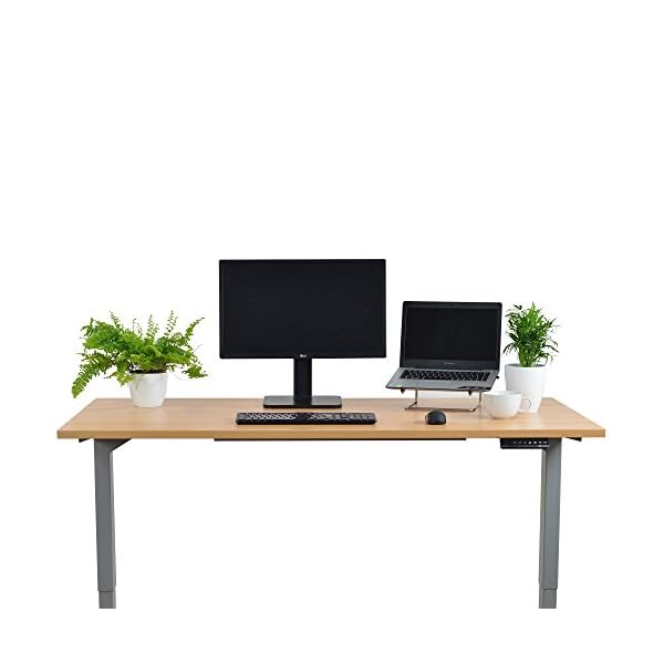 Ergotopia Elektrisch höhenverstellbarer Schreibtisch 5 Jahre Garantie | Ergonomischer Steh-Sitz Tisch mit Memory… – Bild 3