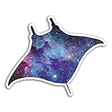 Destination Vinyl Ltd