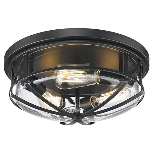 Darkaway 15inch Ceiling Light Fixtures Large Flush Mount Light Fixtures