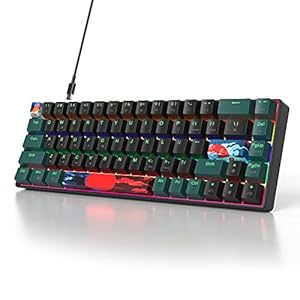 SbocKeeb Compact 65% Mechanical Gaming Keyboard, LED Backlit Linear Red Switches Wired Mini Keyboard for Laptop Desktop PC Gamers/Win/Mac/PS4/5/Xbox（68 Sound Wave-B）