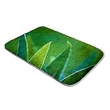 VBFOFBV Tapis intérieur/extérieur, sans Perte, Chambre à Coucher, Salon, Salle à Manger, terrasse, arrière-Cour, Patio,l'herbe Verte