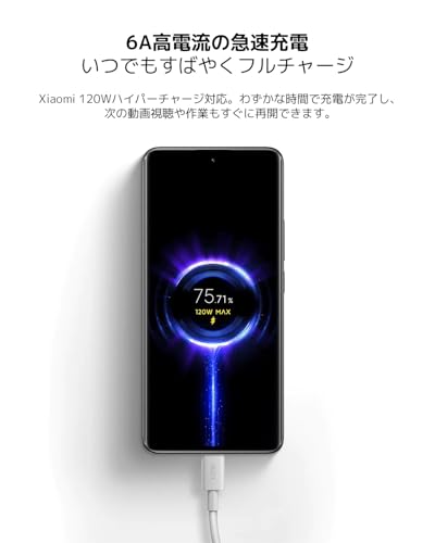 Xiaomi Câble USB-C vers USB-C tressé 6A (1 m)