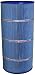 Pleatco Replacement Cartridge for Sta-Rite Posi-Flo II PTM70, T-70TX, T-70TXR, 70GPM-TX, 70TX, 70TXR, Open with 12 Concentric Slots (MICROBAN)