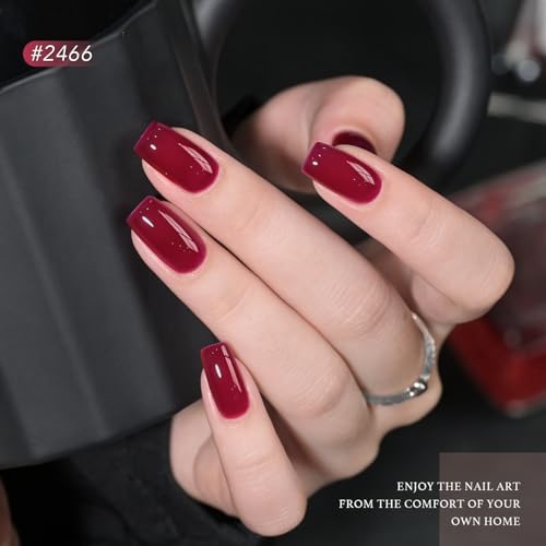 GAOY 23 Pcs Gel Nail Polish Kit, Red Blue Green Jelly Colors All Seasons Set with Glossy & Matte Top Coat and Base Coat for Nail Art Home DIY Gel Kit