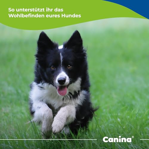 Canina Magen Balance, 250 g