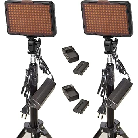 Bescor WAFFLEK Double 300W 176 Daylight Bulb LED Studio Light Kit with 2X L-Series/NPF Battery & Charger Cover