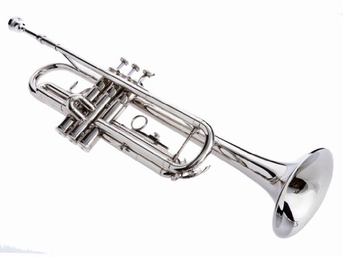Hawk Wd-T312 Bb Trumpet With Case And Mouthpiece, Nickel Plated #TOP1