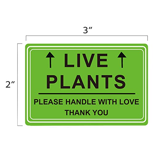 Wootile WOO 2020090501 Green Live Plants Stickers thumb #6