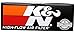 K&N Engine Air Filter: High Performance, Premium, Powersport Air Filter: Fits 2014-2020 INDIAN (Chief Dark Horse, Chief Vintage, Chieftain, Classic, Dark Horse, and other select models) PL-1814