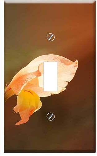 Switch Plate Single Toggle - Nature Flora Florez Insects Armenia Quindio