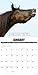Horsin' Around 2026 Wall Calendar