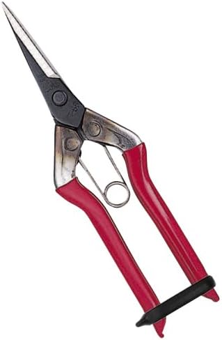 Chikamasa bud shears T-551 (japan import)