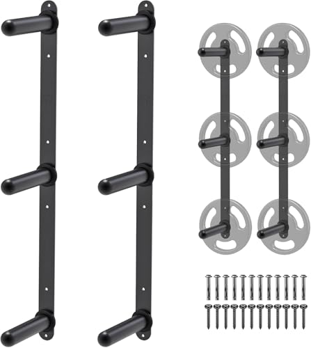 Image of Olympic Weight Plate Rack - Heavy-Duty Metal Weight Storage Stand for Olympic Weight Plates - Space-Efficient Home Gym Organizer (Black, Weight Plate Storage Rack)