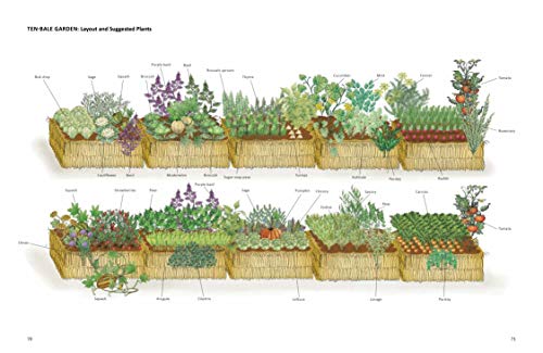 Straw Bale Gardens Complete, Updated Edition: Breakthrough Method for Growing Vegetables Anywhere, Earlier and with No Weeding - Image 4