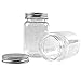 novelinks 16 oz Clear Plastic Jars with Screw-On Lids - BPA-Free Refillable Storage Containers for Slime, Food, Crafts, Kitchen & Household Use (10 Pack,Silver)