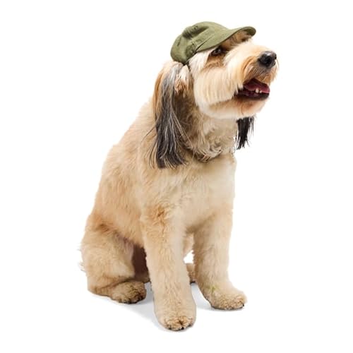 Reddy Washed Twill Dog Hat Small/Medium Olive