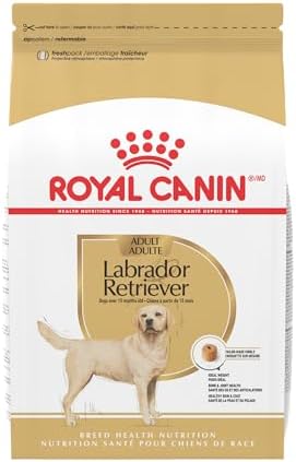 Royal Canin Labrador Retriever Adult Dry Dog Food, 30 lb bag