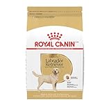Royal Canin Labrador Retriever Adult Dry Dog Food, 30 lb bag