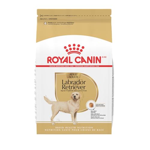 Royal Canin Labrador Retriever Adult Dry Dog Food, 30 lb bag