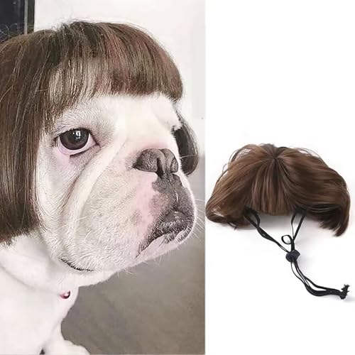 犬 猫 かつら ペットウィッグ 犬被り物 ハロウィン おしゃれ 面白い 目に立つ 小型犬 中型犬 変装グッズ ペット服 誕生日 パーティー 仮装グッズ 着脱簡単 変身 撮影道具