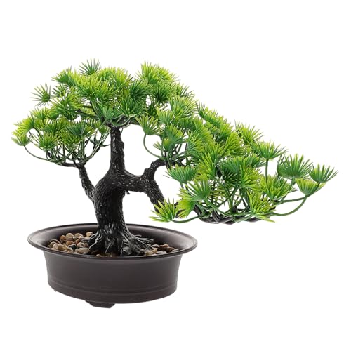 ERINGOGO AȐlH~͔A p΂̃tFCN ϗtA ItBXfXN pRpNg~i ׃V~[VZp