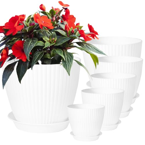 Plant Pots Indoor, Plastic Plant Pots, Indoor Plant Pot with Drainage Hole and Tray for Garden, House Plants, Outdoor & Indoor (WHITE)