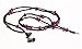 handcandy HF001BP The SOFIA LadyBuds Stereo Headphone Necklace, Black/Purple
