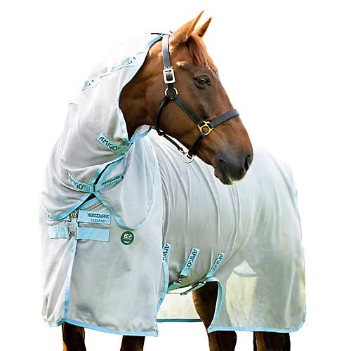 AmEco Bug Buster 78 Silver/Sky Blue