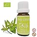 Produktbild Ressources Naturelles - Yunnan-Eisenkraut ätherisches Öl (Bio) 10 Ml